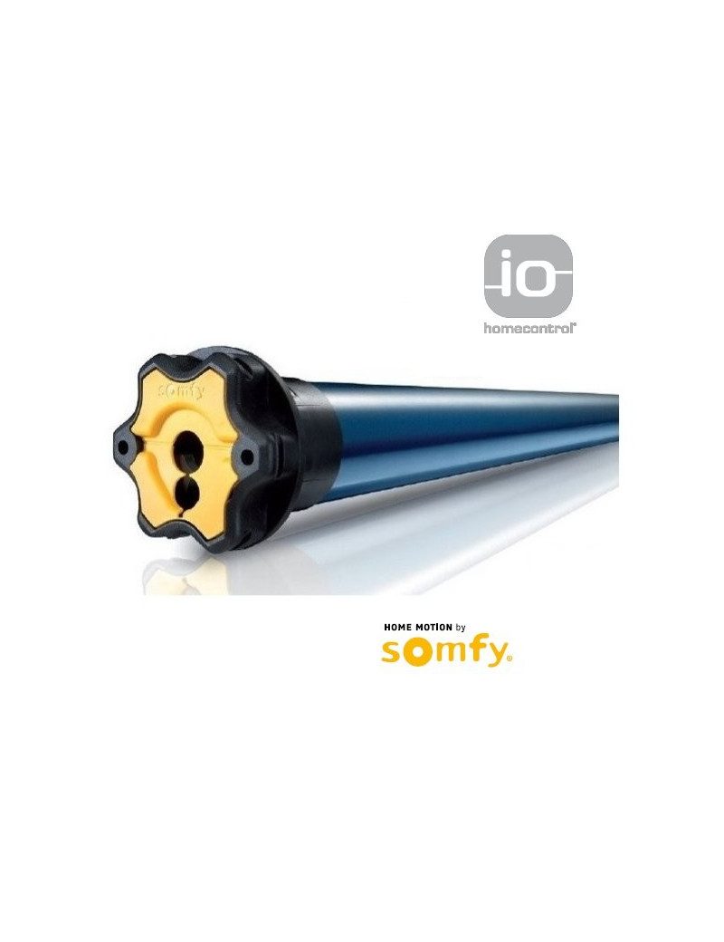 Somfy 1037689 - Moteur Somfy Oximo IO 10/17